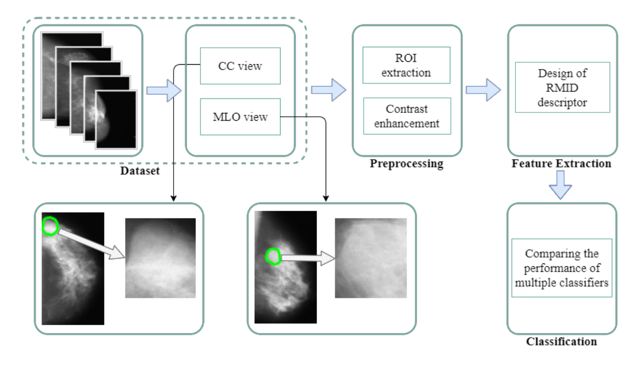 A New and Effective Image Descriptor for Mammography Mass Categorization is RMID
