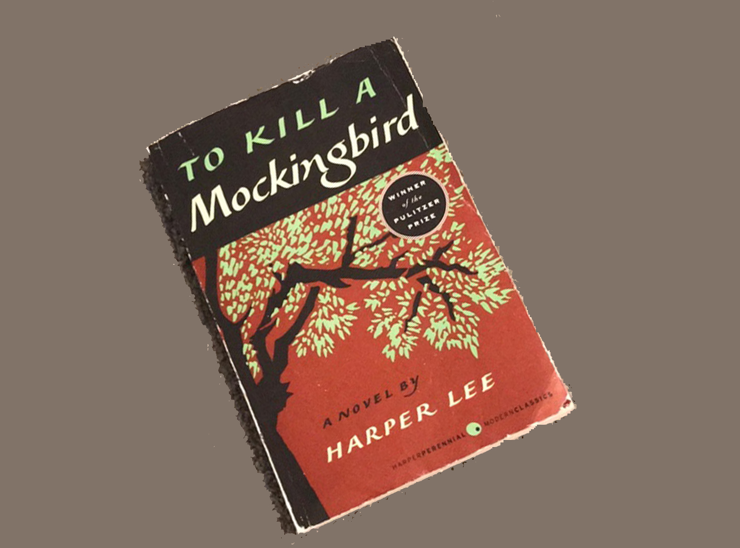 To Kill A Mockingbird: PDF eBook
