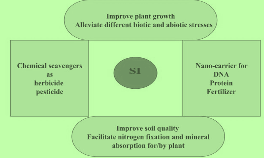 A Comprehensive Review on the Potential Effect of Silicon Fertilizer and its Significance for Agriculture